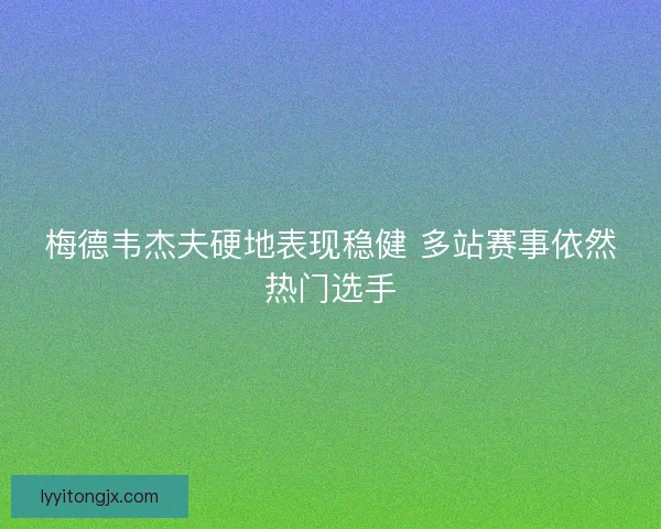 梅德韦杰夫硬地表现稳健 多站赛事依然热门选手