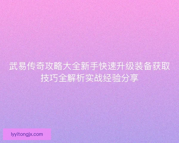 武易传奇攻略大全新手快速升级装备获取技巧全解析实战经验分享
