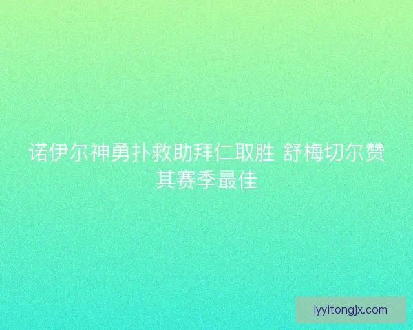 诺伊尔神勇扑救助拜仁取胜 舒梅切尔赞其赛季最佳