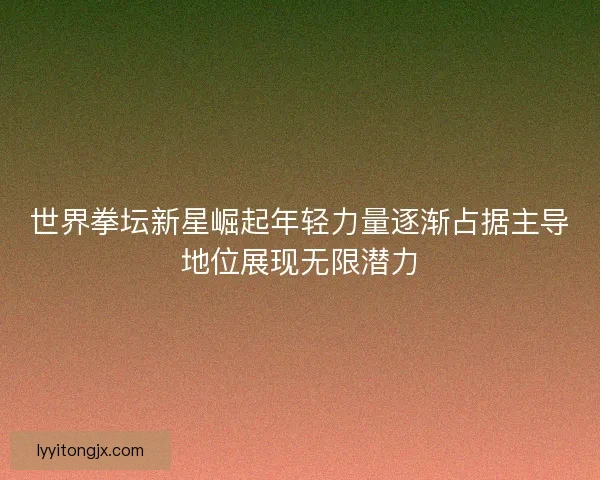世界拳坛新星崛起年轻力量逐渐占据主导地位展现无限潜力