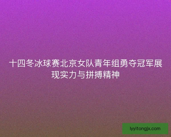 十四冬冰球赛北京女队青年组勇夺冠军展现实力与拼搏精神